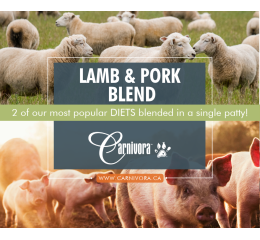 Blended Patties - Lamb/Pork - Diet
